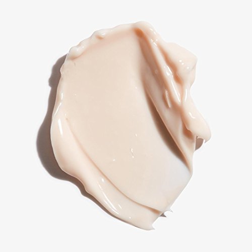 ルメネ シス エクスパート モイスチャー レメディー デイ&ナイトクリーム 50ml (Lumene SISU Expert Moisture Remedy Day & Night Cream 50ml)